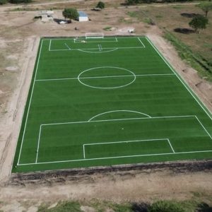 Sintética-02-Luis-Diaz